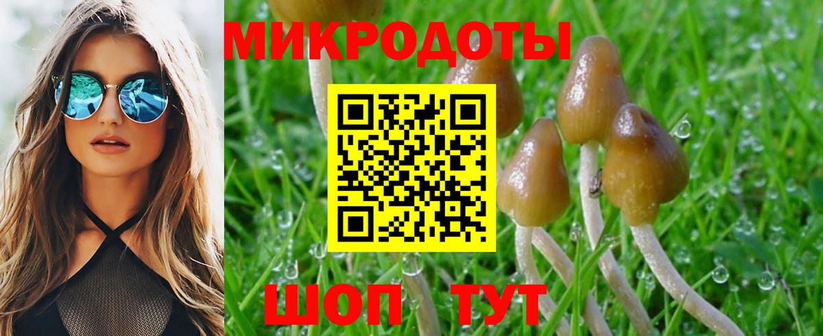 Калач-на-Дону  купить наркоту  Вход с VPN  Псилоцибиновые грибы Psilocybine cubensis  Галлюциногенные грибы Cubensis 