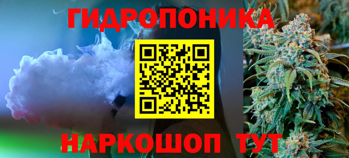 Бошки Шишки конопля  Бошки Шишки семена  Калач-на-Дону  Конопля AK-47  Вход с VPN 